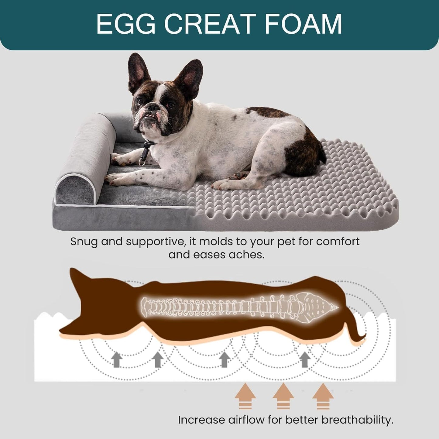 Orthopedic Dog Bed for Large Dogs – Comfort, Support & Durability All in One