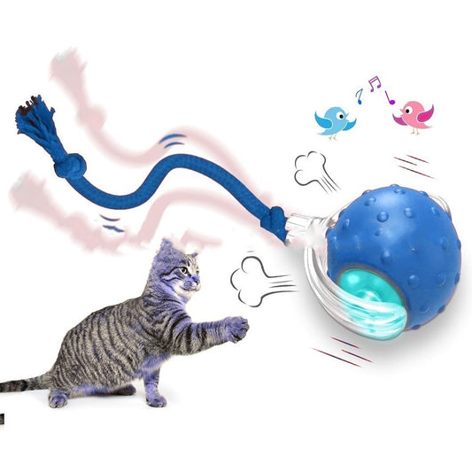 Interactive Cat Toy Ball – USB Rechargeable Smart Rolling Toy