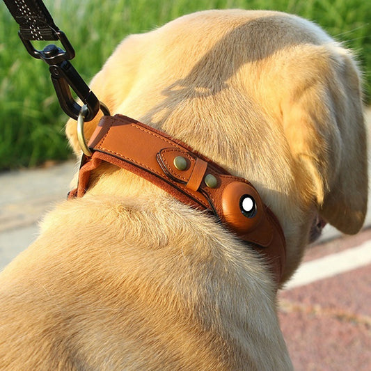 GPS Pet Tracker Leather Dog Collar – Real-Time Location Tracking & Anti-Loss Design