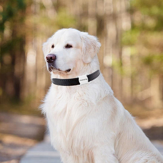 Smart GPS Pet Tracker for Dogs & Cats – Real-Time Location & Anti-Loss Collar