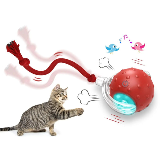 Interactive Cat Toy Ball – USB Rechargeable Smart Rolling Toy