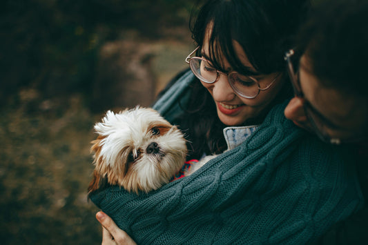 New to Pet Parenthood? Here’s Everything You Need to Know