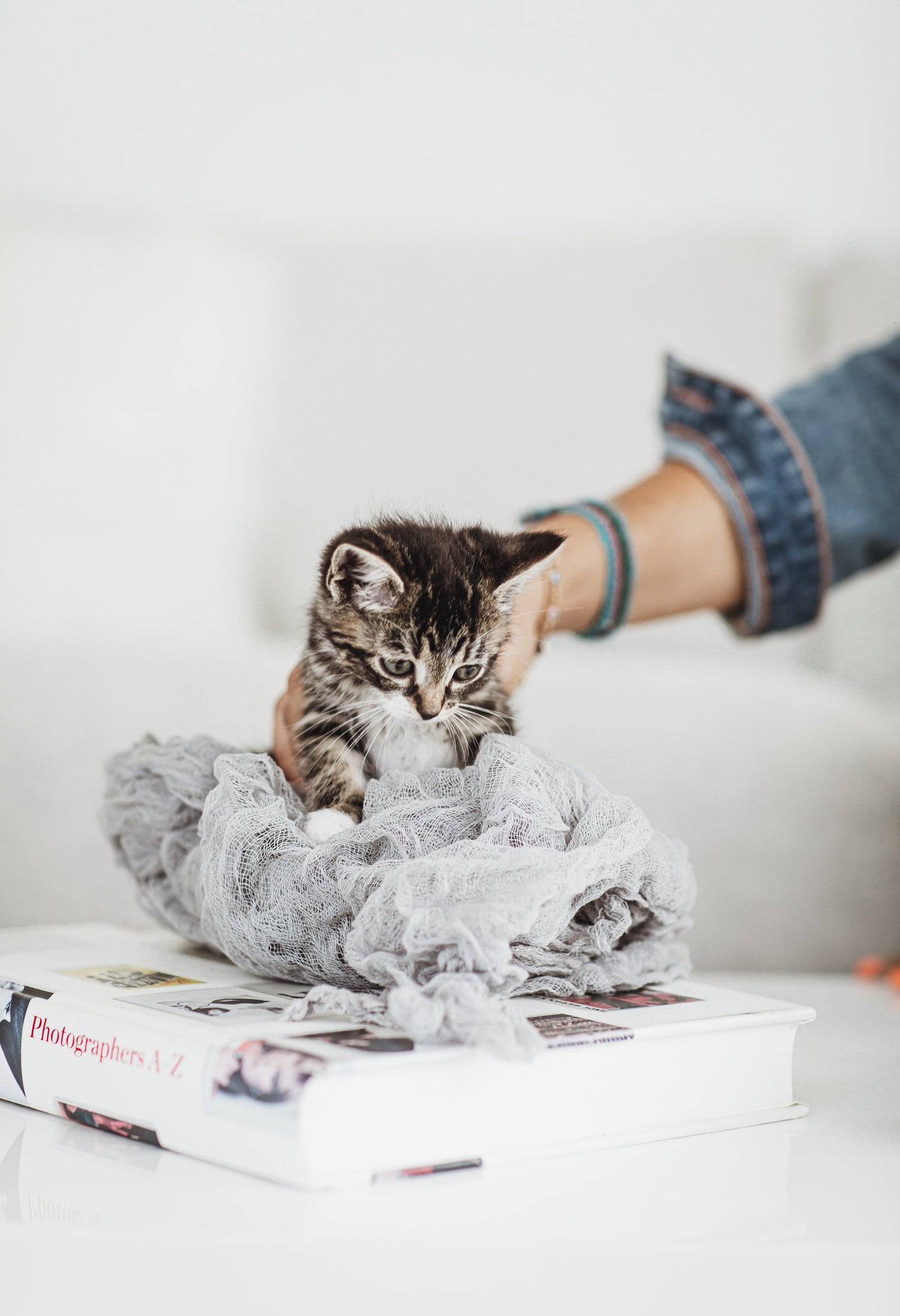 Fun & Durable Pet Toys