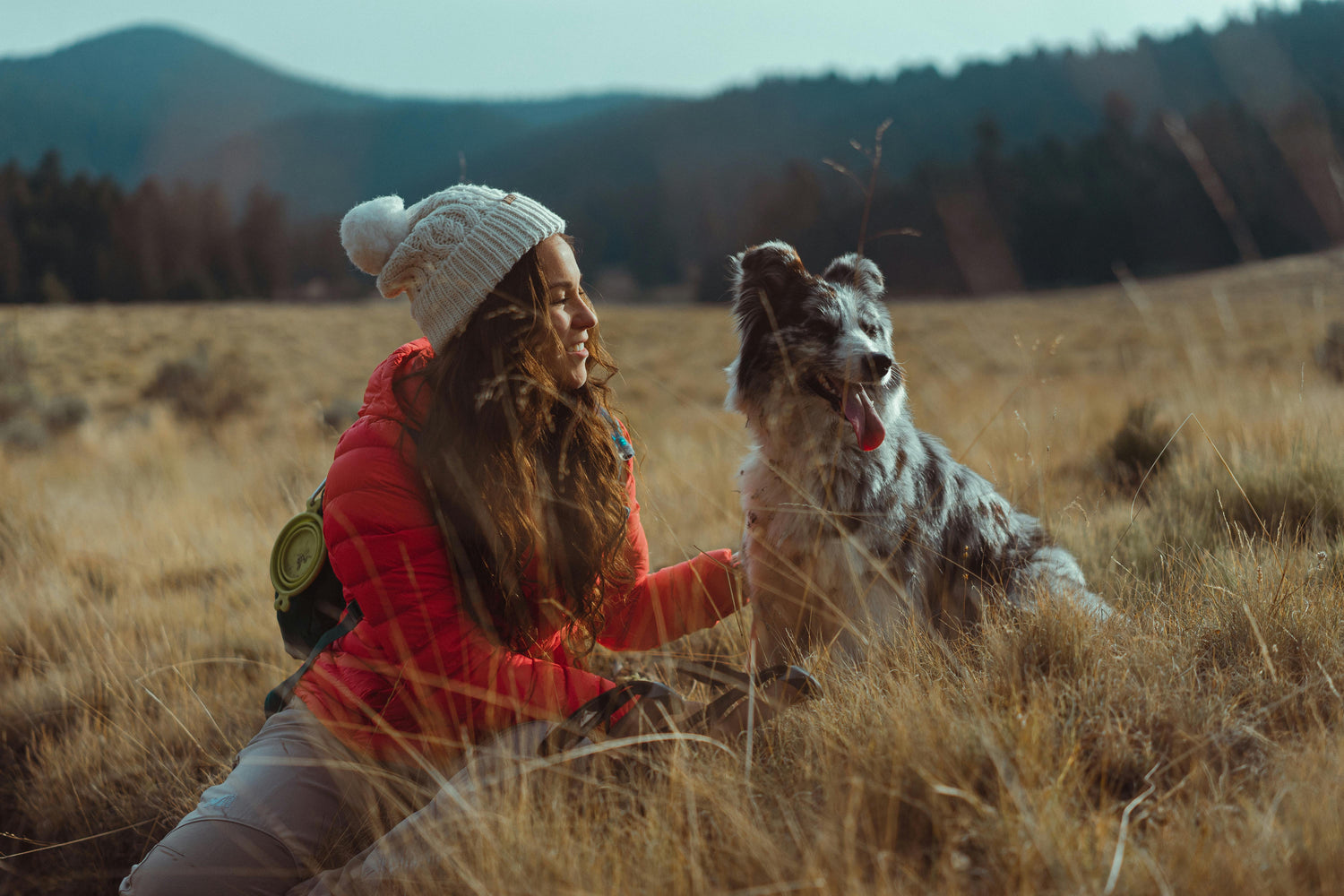 Pet Travel Accessories