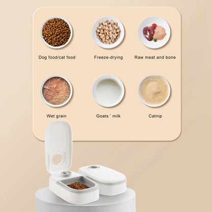 Slow Feeder Bowl – No Power Needed, Automatic Food Bowl for Cats & Dogs