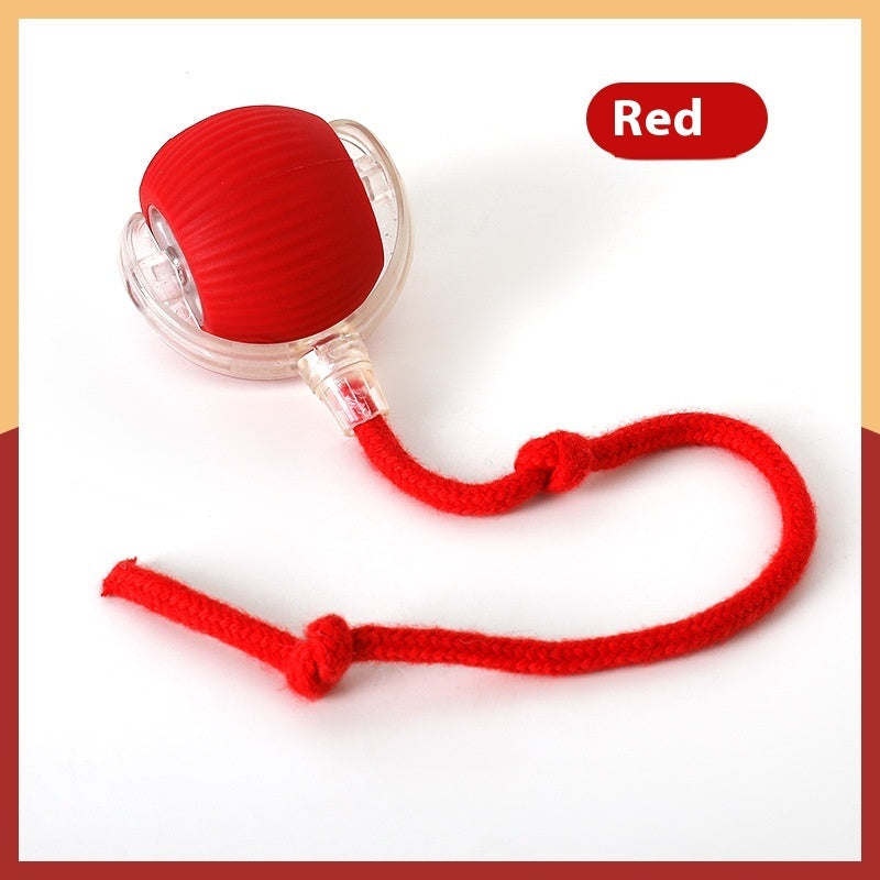 Interactive Cat Toy Ball – USB Rechargeable Smart Rolling Toy