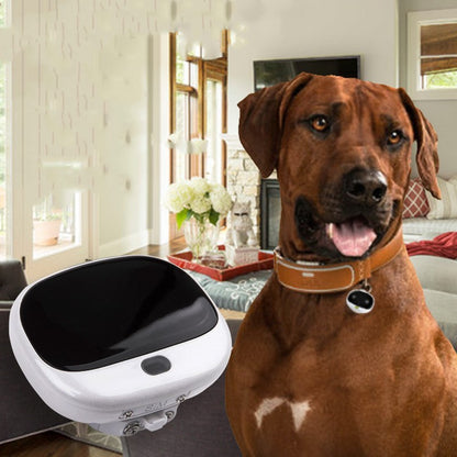 Mini GPS Cat & Dog Anti-Loss Tracker – LED Light, Waterproof Pet Collar Locator